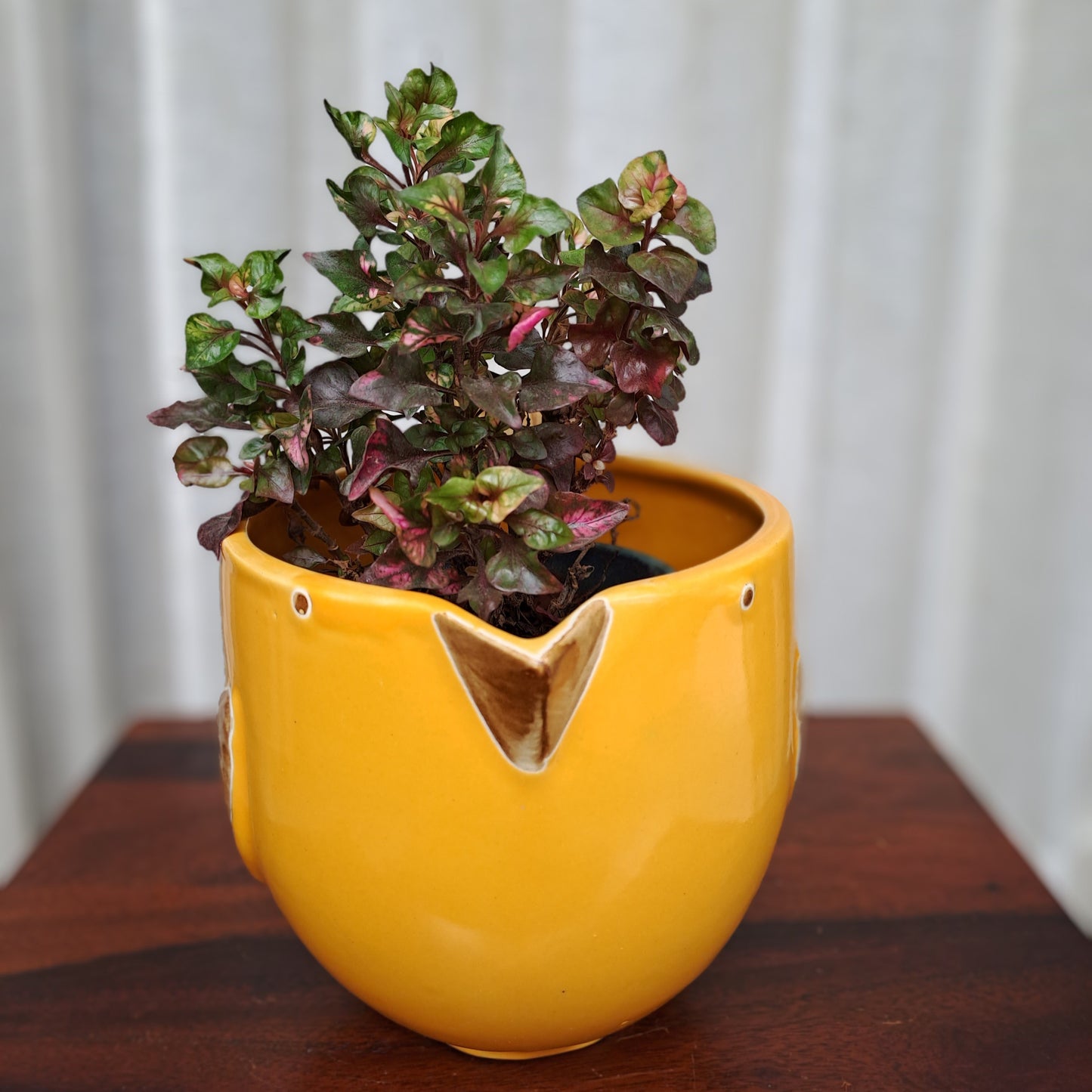 CERAMIC YELLOW BIG BIRD PLANTER