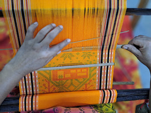 Kalavani Chronicles: Celebrating the Art of Traditional Indian Textiles